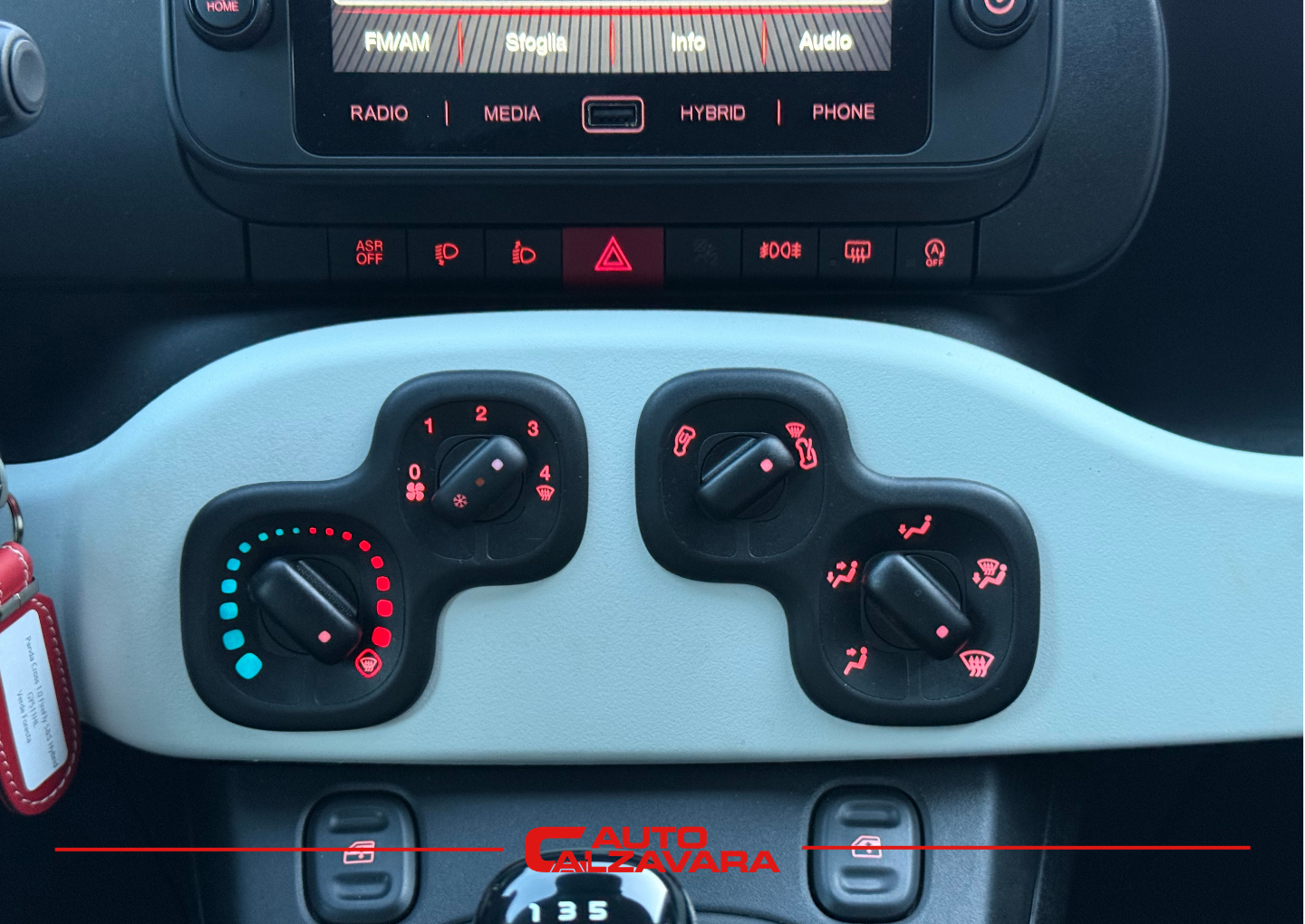 Fiat Panda Cross 1.0 FireFly S&S Hybrid / VERDE FORESTA / GY961ZV