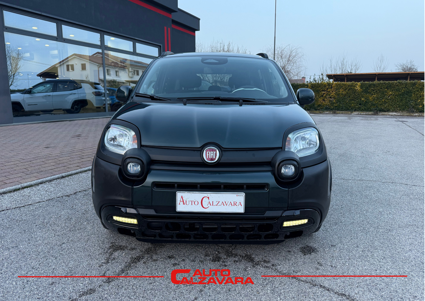 Fiat Panda Cross 1.0 FireFly S&S Hybrid / VERDE FORESTA / GY961ZV