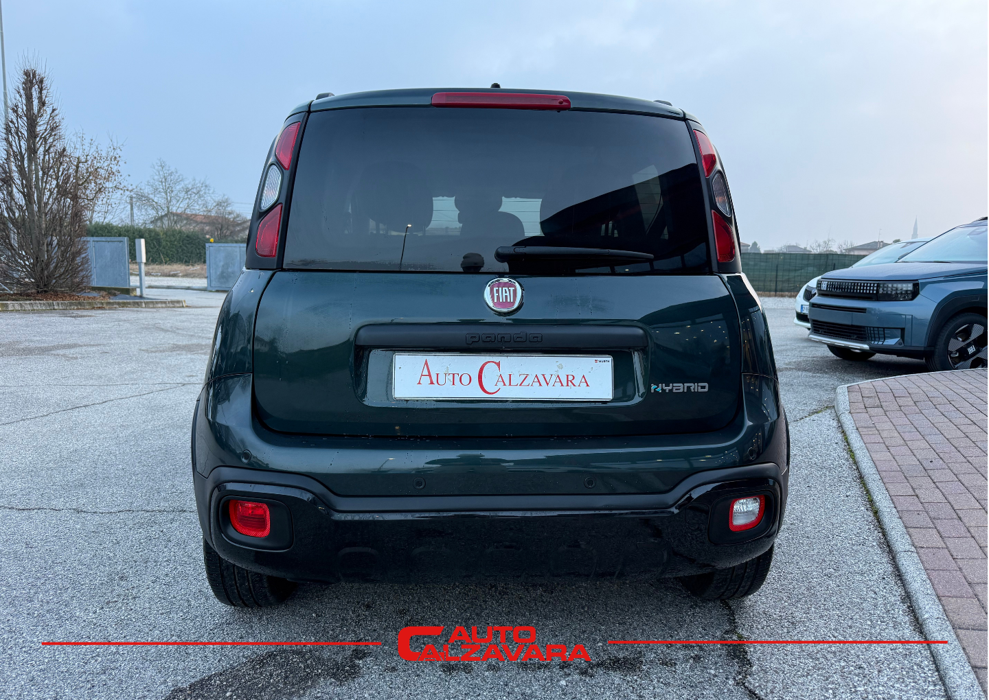 Fiat Panda Cross 1.0 FireFly S&S Hybrid / VERDE FORESTA / GY961ZV